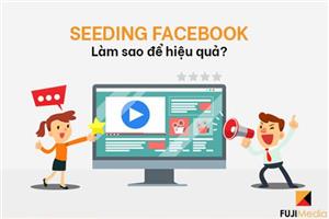 Kinh nghiệm triển khai kế hoạch Seeding thành công 2024